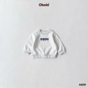 A609 – Áo Nỉ Chui Đầu Trẻ Em Thu Đông In Hình Obebi