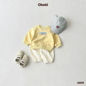 A609 – Áo Nỉ Chui Đầu Trẻ Em Thu Đông In Hình Obebi