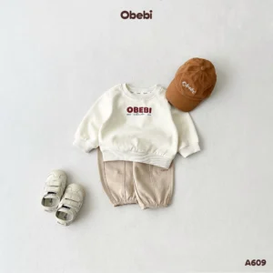 A609 – Áo Nỉ Chui Đầu Trẻ Em Thu Đông In Hình Obebi