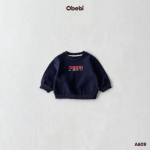 A609 – Áo Nỉ Chui Đầu Trẻ Em Thu Đông In Hình Obebi