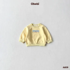 A609 – Áo Nỉ Chui Đầu Trẻ Em Thu Đông In Hình Obebi